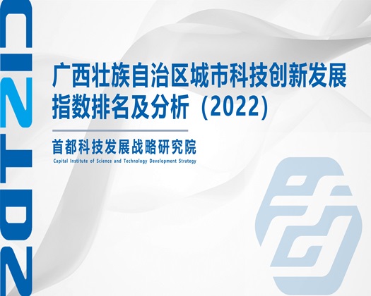 男人逼视频免费看【成果发布】广西壮族自治区城市科技创新发展指数排名及分析（2022）